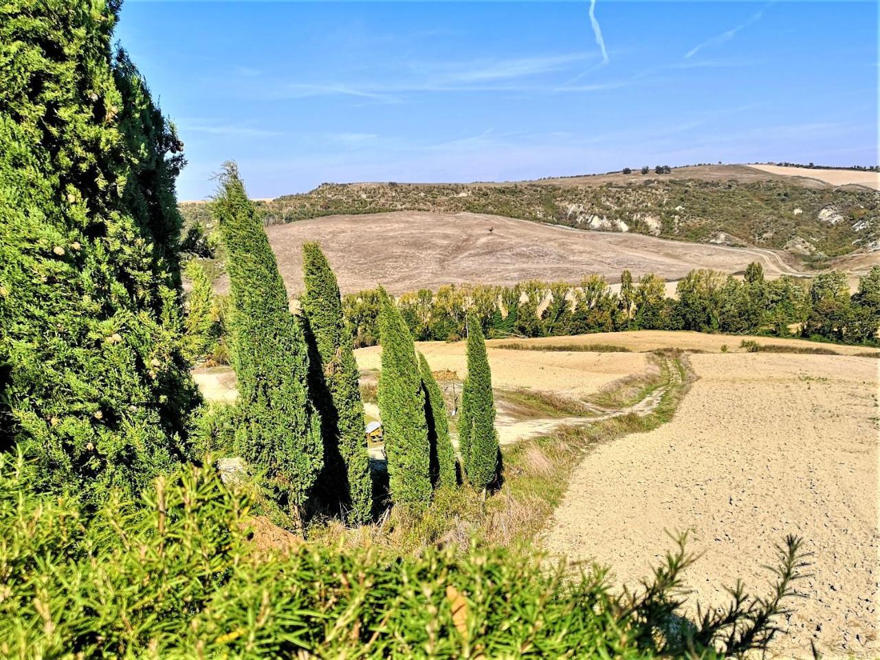 Agriturismo Palazzo Conti - B Pienza Exterior foto